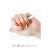 水性ネイル shellscoat(シェルズコート) 23 サンセット 6ml